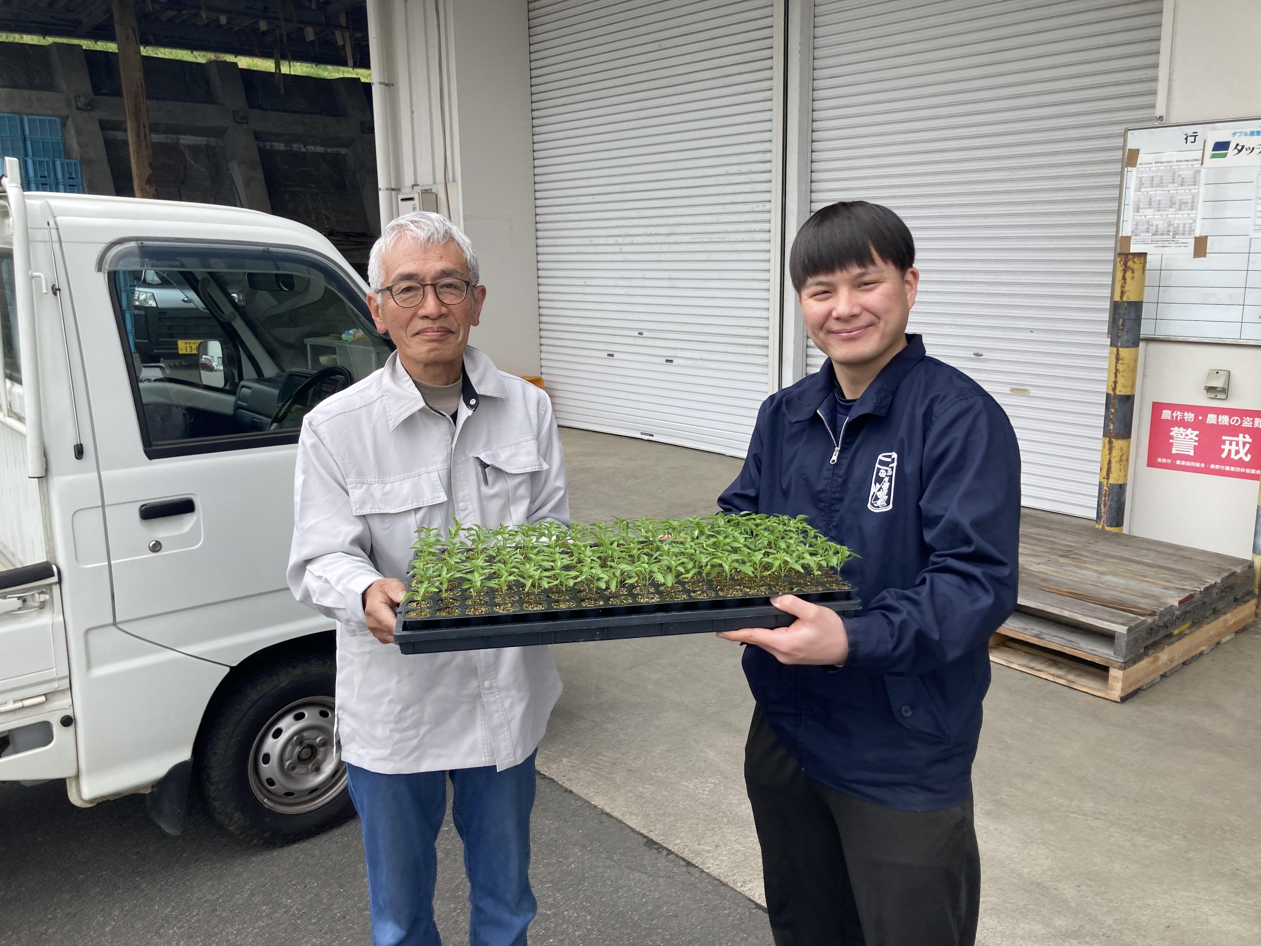 苗配達03.jpg