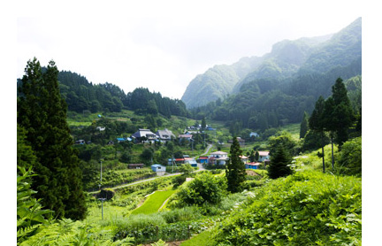 Shichimi Togarashi: Flavor of Shinshu